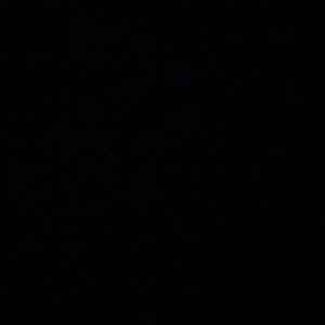 Meet your Posher, Bradley